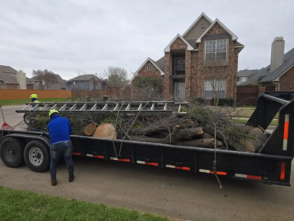 Expert Tree Pest Control with proper safety equipment in Buchanan